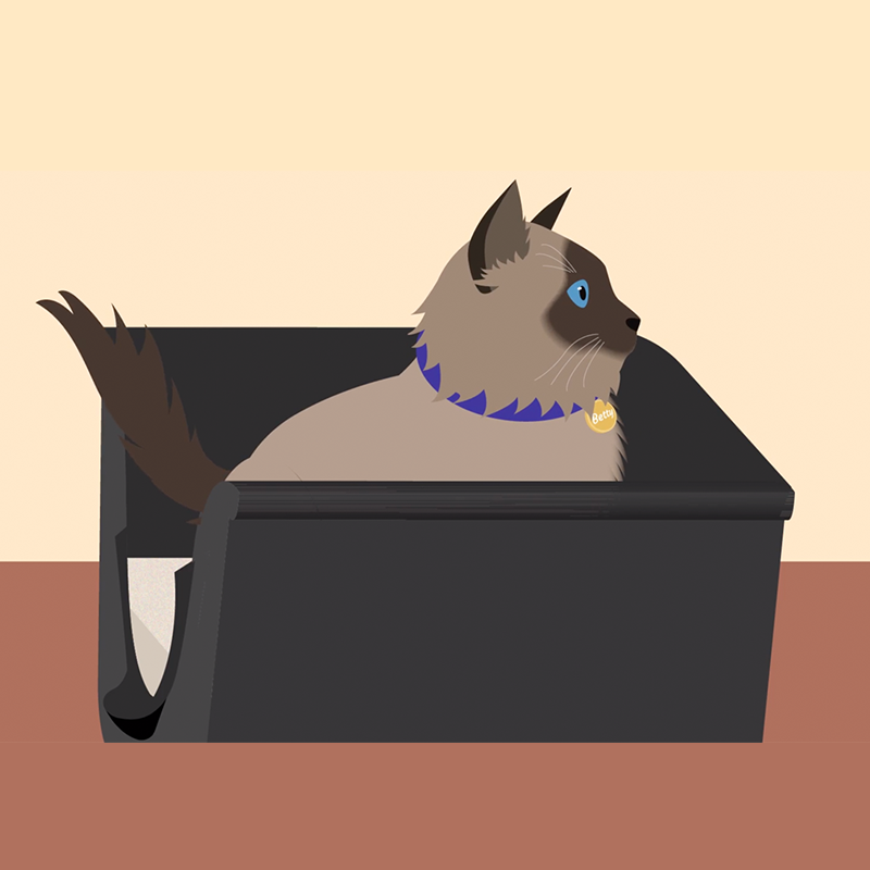Litter Box | Petcademy